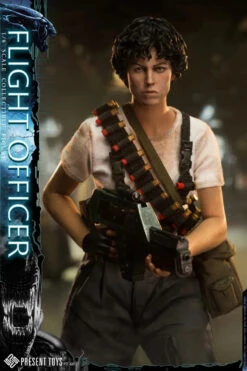 Present Toys Flight Officer 1/6 Scale Action Figure PT-SP60 24 Present Toys Flight Officer 1/6 Scale Action Figure PT-SP60 -US Model Figures Sales 2024 06 02083.1684374123