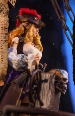 War Story Elf Pirate Captain Elsa 1/6 Scale Action Figure WS018A -US Model Figures Sales 2024 104446nth88fthqap5t858 81034.1676964265