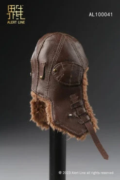 Alert Line WWII Soviet Air Force Ace Pilot 1/6 Scale Action Figure AL100041 -US Model Figures Sales 2024 20230425 170945 034 17358.1682463965