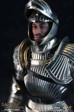 COOModel Empires Series - Sacred Guard Knight (Anniversary Paktong Edition) 1/6 Scale Action Figure SE118 -US Model Figures Sales 2024 224211deh3q23h83h7hzhh 42541.1670320982