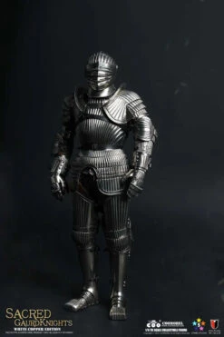 COOModel Empires Series - Sacred Guard Knight (Anniversary Paktong Edition) 1/6 Scale Action Figure SE118 -US Model Figures Sales 2024 224255rivef2arfantvnnn 04173.1670320980