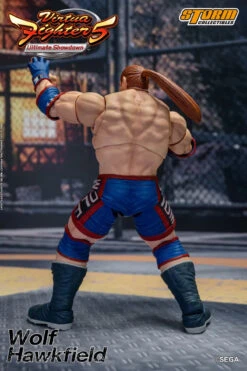Storm Collectibles "Virtua Fighter 5" Wolf Hawkfield 1/12 Scale Action Figure -US Model Figures Sales 2024 DSC 4186 4 09162.1684999965