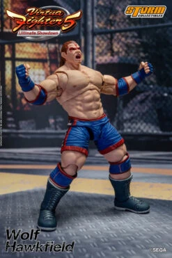Storm Collectibles "Virtua Fighter 5" Wolf Hawkfield 1/12 Scale Action Figure -US Model Figures Sales 2024 DSC 4190 4 90978.1684999964