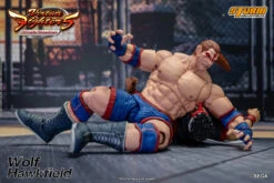 Storm Collectibles "Virtua Fighter 5" Wolf Hawkfield 1/12 Scale Action Figure -US Model Figures Sales 2024 DSC 4212 4 04973.1684999970