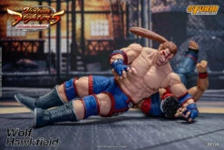 Storm Collectibles "Virtua Fighter 5" Wolf Hawkfield 1/12 Scale Action Figure -US Model Figures Sales 2024 DSC 4227 4 61541.1684999975