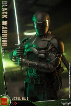 TWTOYS BLACK WARRIOR 1/12 SCALE ACTION FIGURE TW 2140 -US Model Figures Sales 2024 image005 72288.1620030002