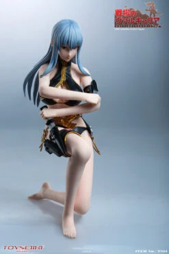 TOYSEIIKI VALKYRIA CHRONICLES - SELVARIA BLES 1/6 SCALE ACTION FIGURE TS11 -US Model Figures Sales 2024 image019 85447.1588295042