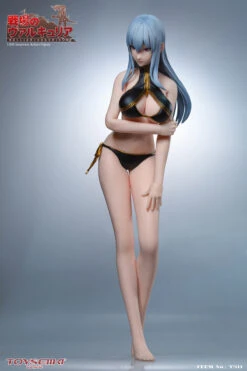 TOYSEIIKI VALKYRIA CHRONICLES - SELVARIA BLES 1/6 SCALE ACTION FIGURE TS11 -US Model Figures Sales 2024 image021 64566.1588295041