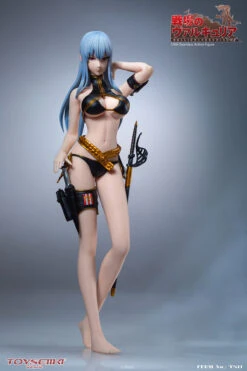 TOYSEIIKI VALKYRIA CHRONICLES - SELVARIA BLES 1/6 SCALE ACTION FIGURE TS11 -US Model Figures Sales 2024 image025 06912.1588295041
