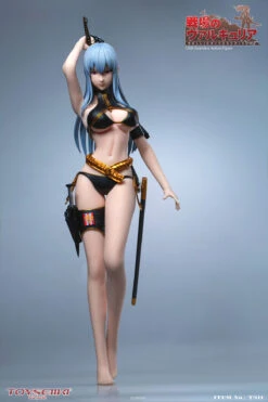 TOYSEIIKI VALKYRIA CHRONICLES - SELVARIA BLES 1/6 SCALE ACTION FIGURE TS11 -US Model Figures Sales 2024 image027 18698.1588295041