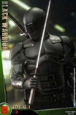 TWTOYS BLACK WARRIOR 1/12 SCALE ACTION FIGURE TW 2140 -US Model Figures Sales 2024 image031 16163.1620030002