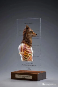 Black 13 Park (B13) Black Laborary Series Animal Modification Project - Wolf 1/6 Scale Dissected Quarter Bust -US Model Figures Sales 2024 mmexport1676511089290 00680.1676518393