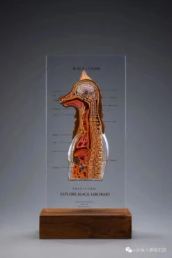 Black 13 Park (B13) Black Laborary Series Animal Modification Project - Fox 1/6 Scale Dissected Quarter Bust -US Model Figures Sales 2024 mmexport1676511106167 17657.1676518635